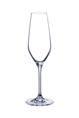 Champagne flute 07 20,5 cl